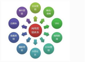 領創互聯 您身邊的互聯網建設與營銷專家，助力薯類銷售創新升級